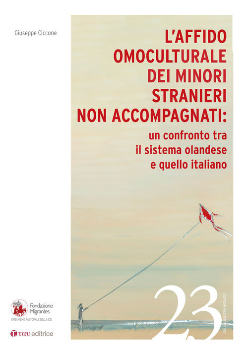 Cover of affido omoculturale dei minori stranieri non accompagnati: un confronto tra il sistema olandese e quello italiano