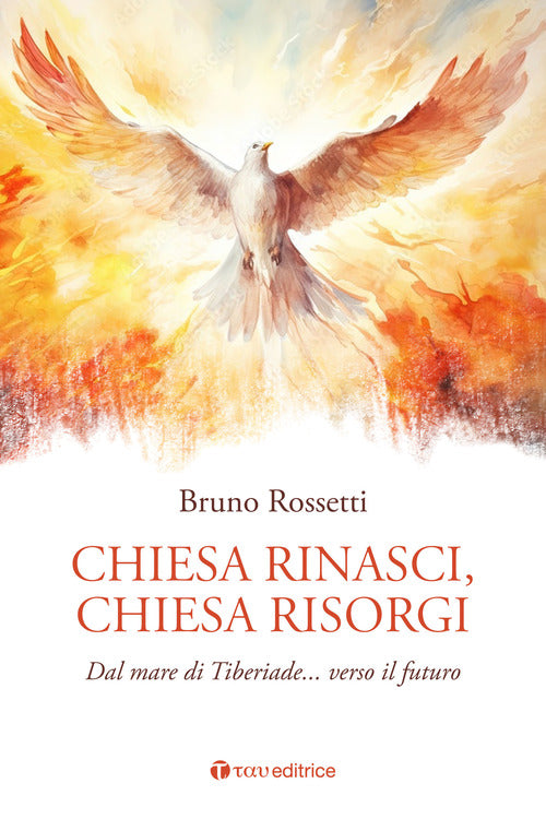 Chiesa rinasci, Chiesa risorgi. Dal mare di Tiberiade verso il futuro