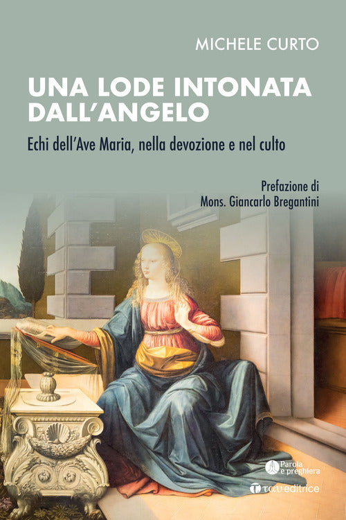 Una lode intonata dall'Angelo. Echi dell’Ave Maria, nella devozione e nel culto