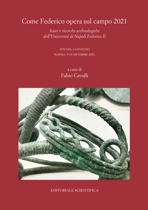 Cover of Come Federico opera sul campo 2021. Scavi e ricerche archeologiche dell'Università di Napoli Federico II. Atti del Convegno, Napoli 9-10 dicembre 2021