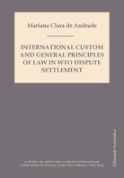 Cover of International custom and general principles of law in WTO disputes settlement
