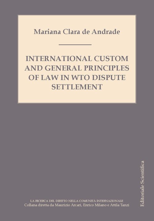 Cover of International custom and general principles of law in WTO disputes settlement