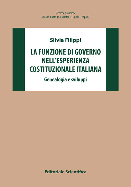 Cover of funzione di governo nell'esperienza costituzionale italiana. Genealogia e sviluppi