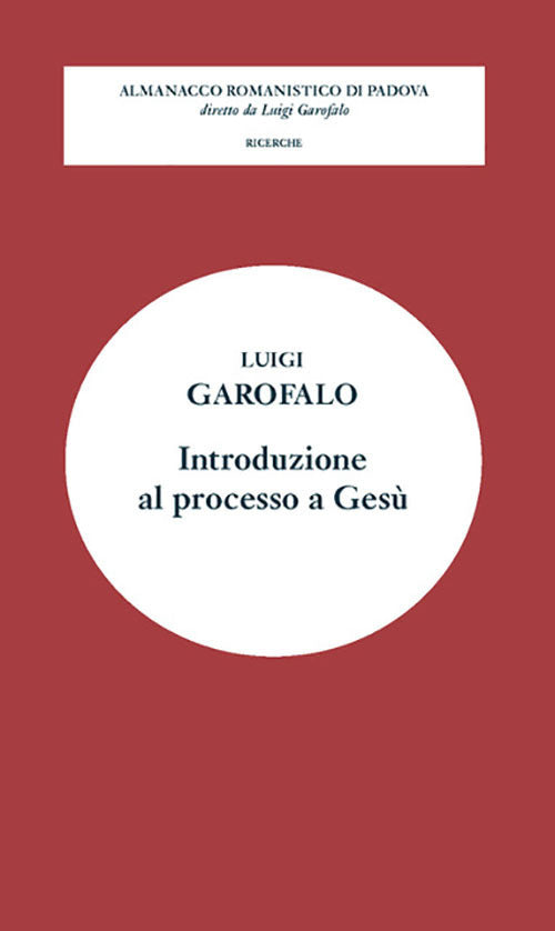 Cover of Introduzione al processo a Gesù