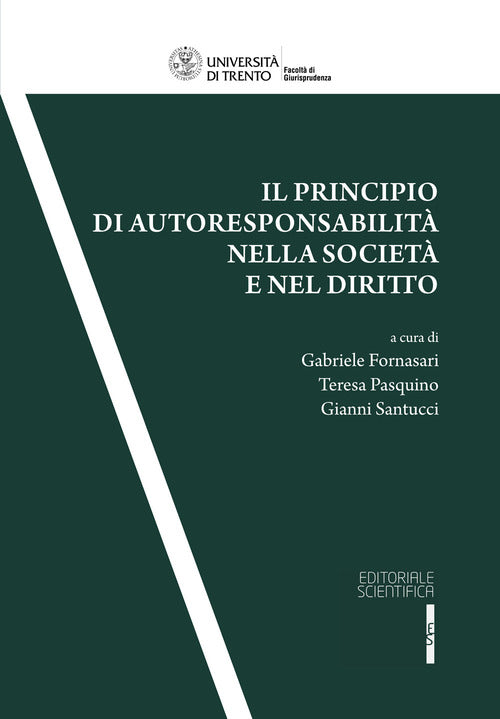 Cover of principio di autoresponsabilità nella società e nel diritto