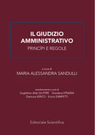 Cover of giudizio amministrativo