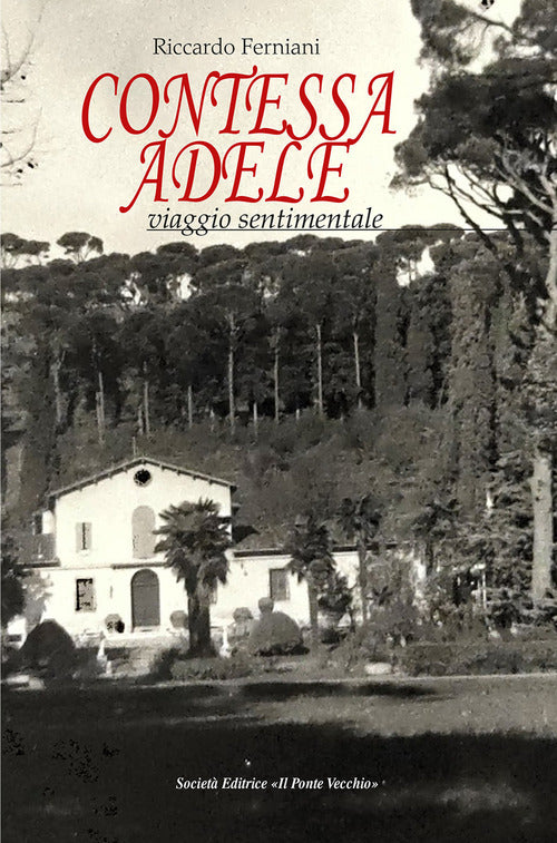 Cover of Contessa Adele. Viaggio sentimentale