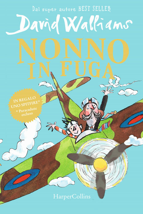 Cover of Nonno in fuga