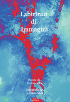 Cover of Labirinto di immagini