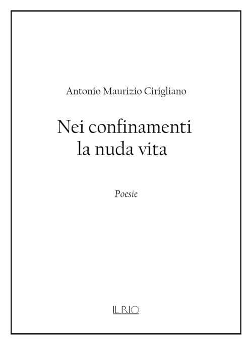 Cover of Nei confinamenti la nuda vita