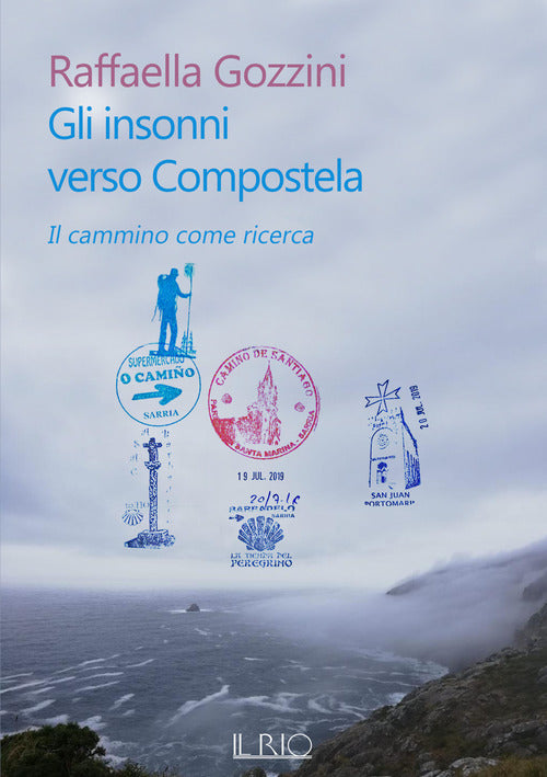 Cover of insonni verso Compostela. Il cammino come ricerca