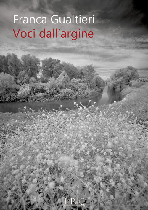 Cover of Voci dall’argine