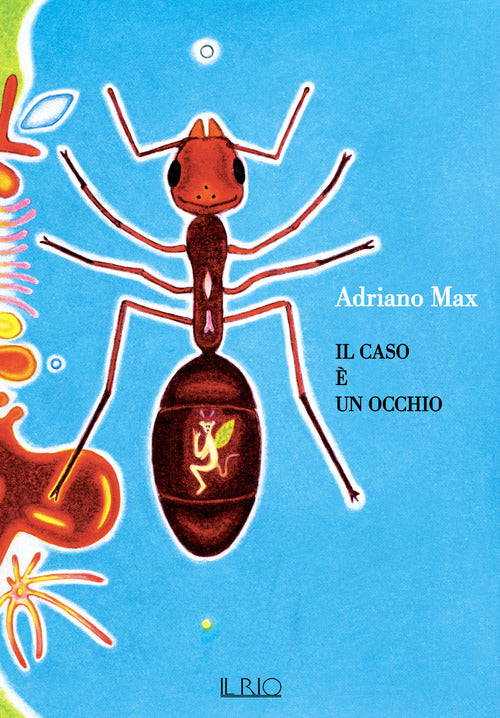 Il caso un occhio