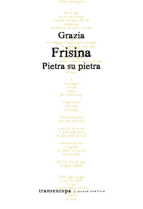 Cover of Pietra su pietra