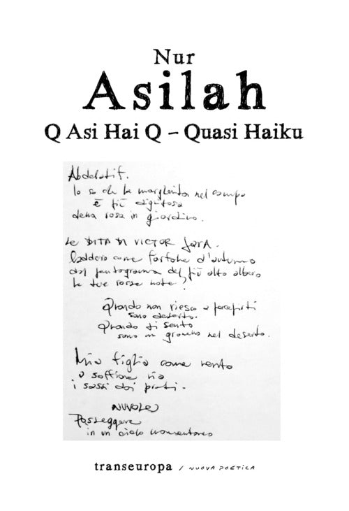 Cover of Q Asi Hai Q. Quasi Haiku