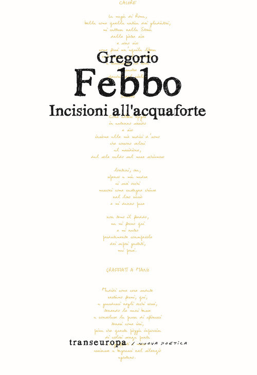 Cover of Incisioni all'acquaforte