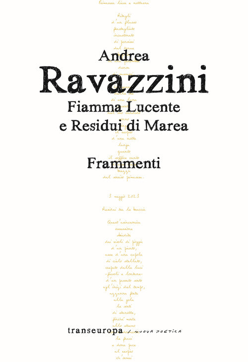 Cover of Fiamma lucente e residui di marea. Frammenti