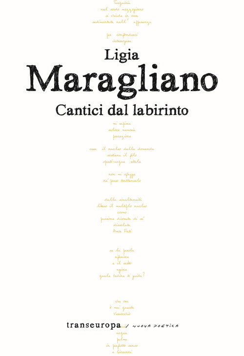 Cover of Cantici dal labirinto