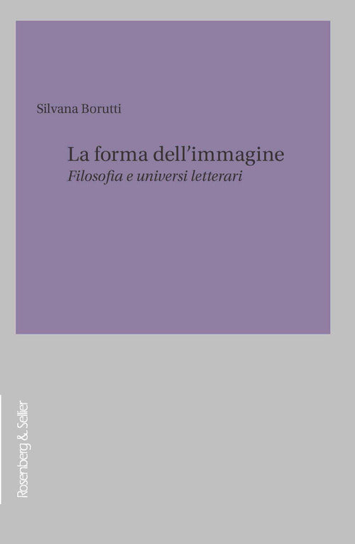 Cover of forma dell'immagine. Filosofia e universi letterari