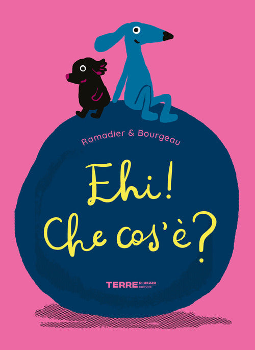 Cover of Ehi! Che cos’è?