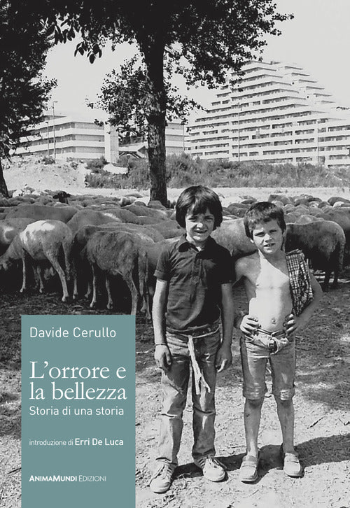 Cover of orrore e la bellezza. Storia di una storia