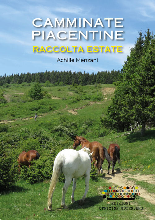 Cover of Camminate piacentine. Raccolta estate