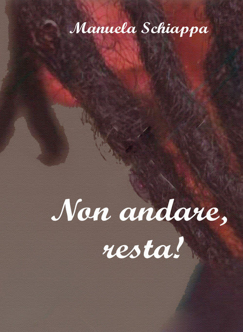 Cover of Non andare, resta!