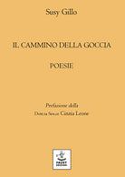 Cover of cammino della goccia