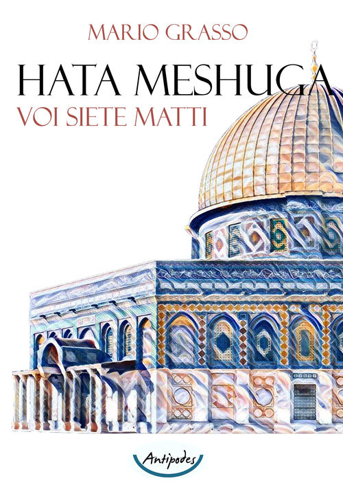 Cover of Hata Meshuga. Voi siete matti