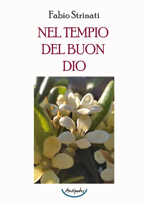 Cover of Nel tempio del buon Dio