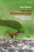Cover of Breve storia dell'infinitamente piccolo