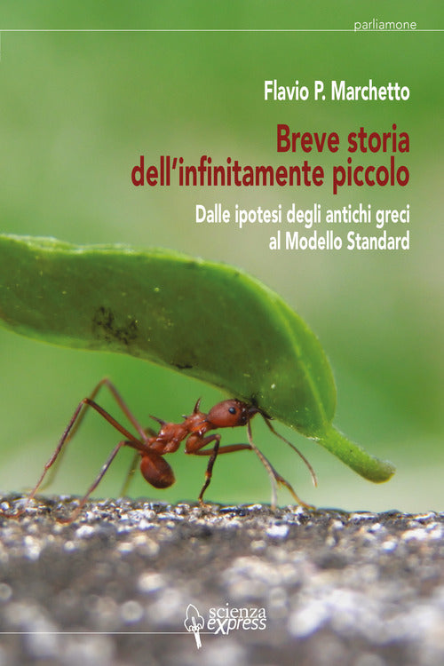 Cover of Breve storia dell'infinitamente piccolo