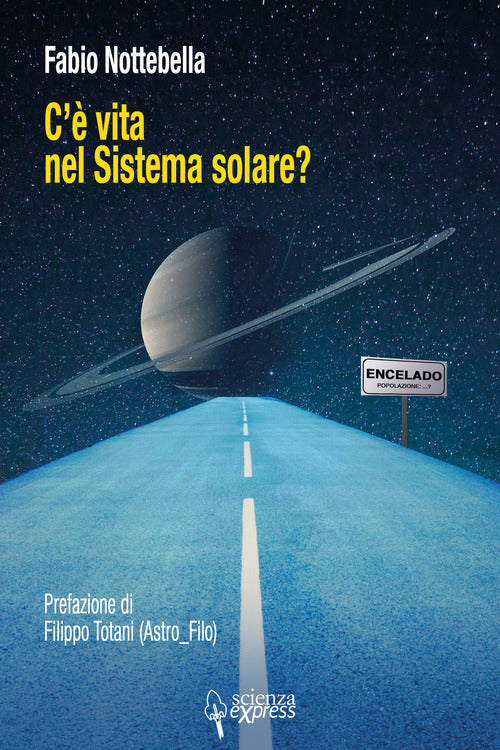 Cover of C'è vita nel sistema solare?