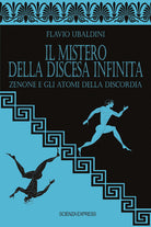 Cover of mistero della discesa infinita