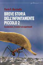 Cover of Breve storia dell'infinitamente piccolo