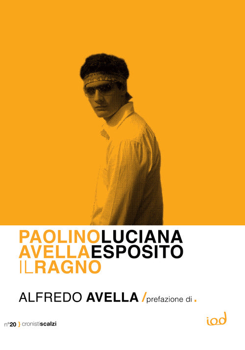 Cover of Paolino Avella. Il ragno