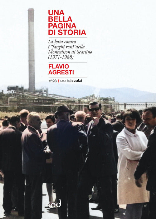 Cover of bella pagina di storia. La lotta contro i «fanghi rossi» della Montedison di Scarlino (1971-1988)