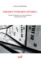 Cover of Erhaben energheia sensible. Fluidità di linguaggi in un'opera ambientale al limite dell’invisibile