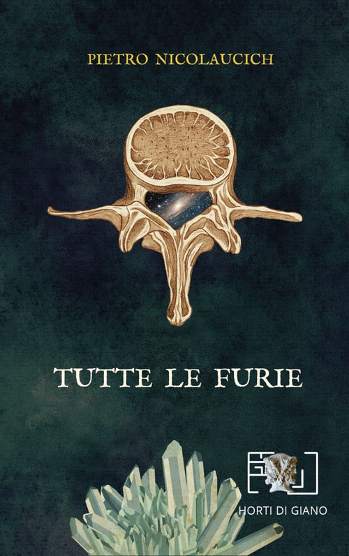 Cover of Tutte le furie