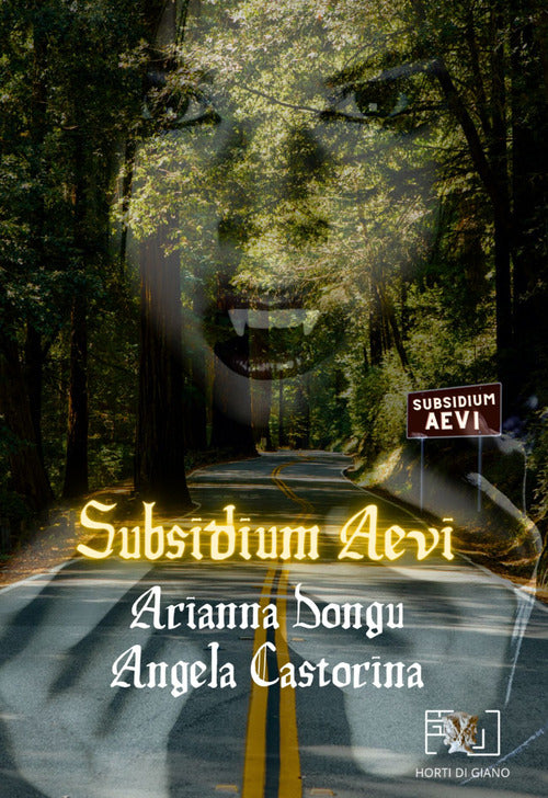 Cover of Subsidium Aevi