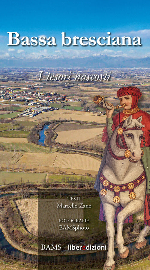 Cover of Bassa bresciana. I tesori nascosti