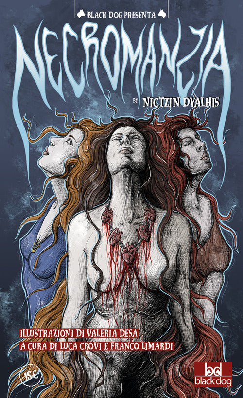 Cover of Necromanzia