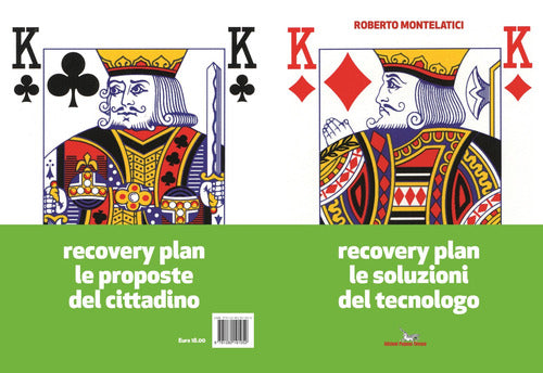 Cover of Recovery plan le soluzioni del tecnologo