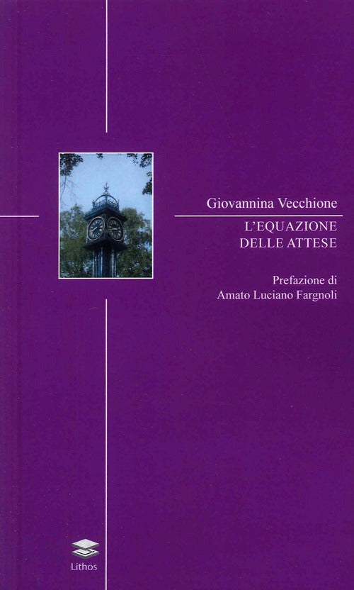 Cover of equazione delle attese