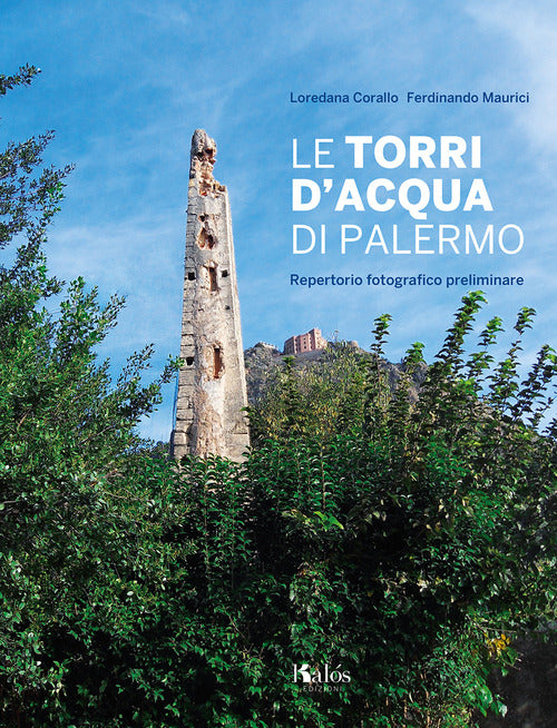 Cover of torri d'acqua di Palermo. Repertorio fotografico preliminare