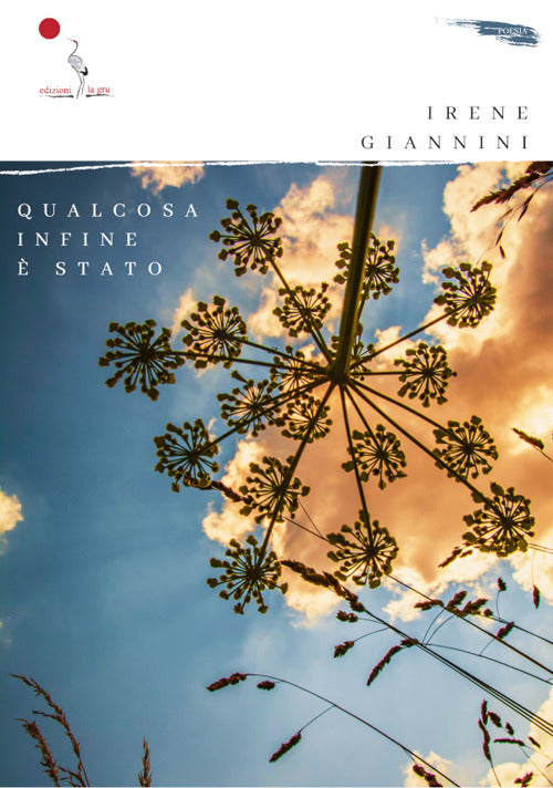 Cover of Qualcosa infine è stato