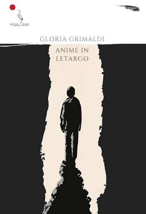 Cover of Anime in letargo