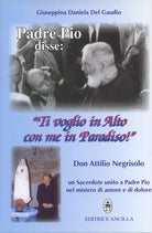 Cover of Padre Pio disse: «ti voglio in alto con me in paradiso!». Don Attilio Negrisolo, un sacerdote unito a padre Pio nel mistero di amore e di dolore