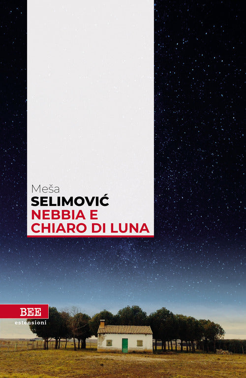 Cover of Nebbia e chiaro di luna