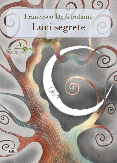 Cover of Luci segrete